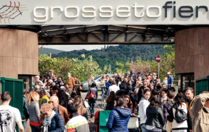 Borsa Mercato Lavoro Grosseto