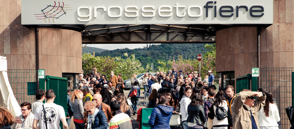 Borsa Mercato Lavoro Grosseto